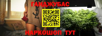 индика Жуковский
