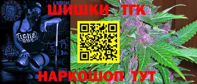 индика Жуковский