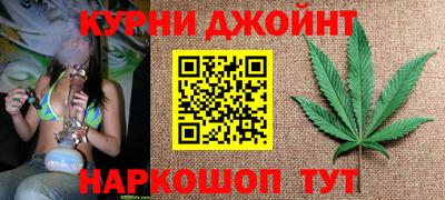 крисы Заводоуковск