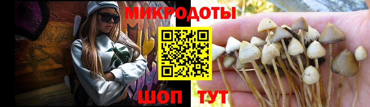 Псилоцибиновые грибы Psilocybine cubensis Грязи